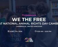 We The Free - WTF