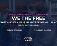 We The Free - WTF
