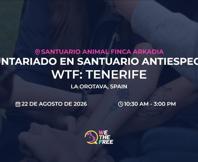 We The Free - WTF