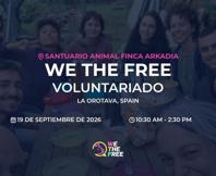 We The Free - WTF