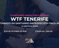 We The Free - WTF