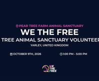 We The Free - WTF