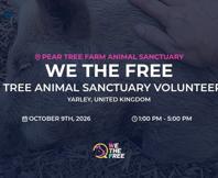 We The Free - WTF
