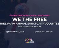 We The Free - WTF