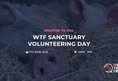 We The Free - WTF