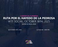 We The Free - WTF