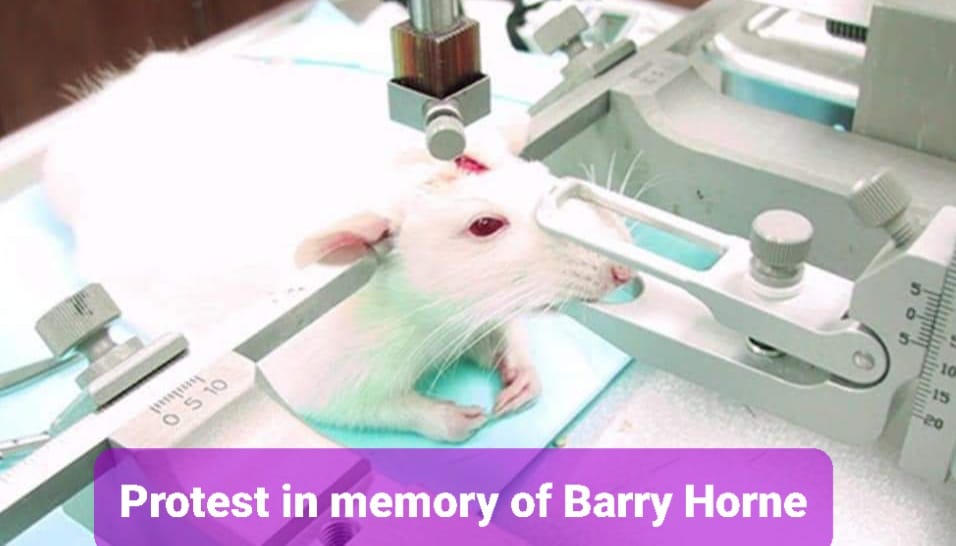 Vivisection Exposed
