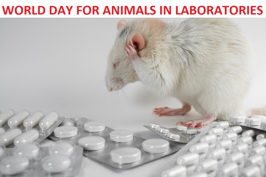 Vivisection Exposed