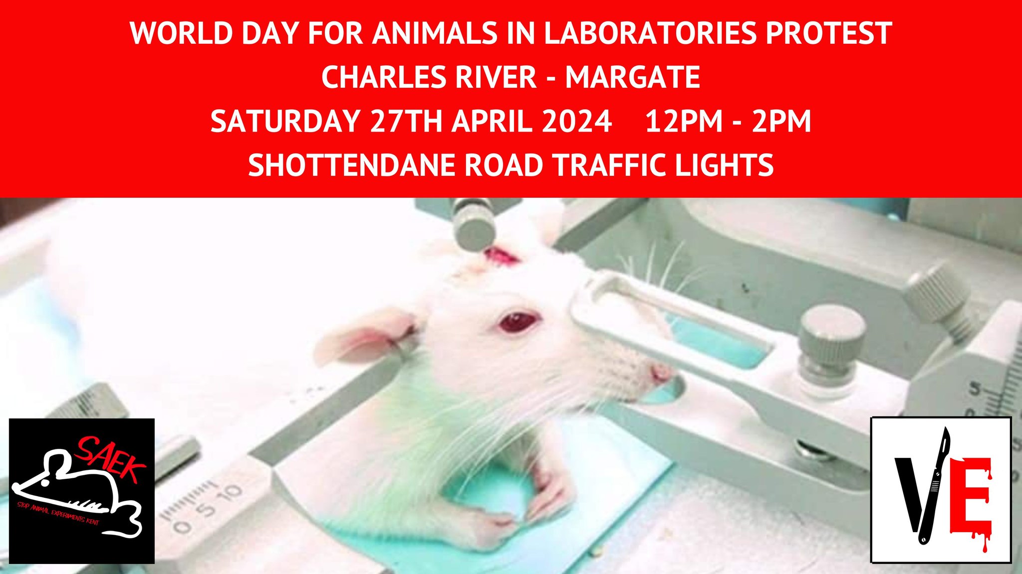 Vivisection Exposed