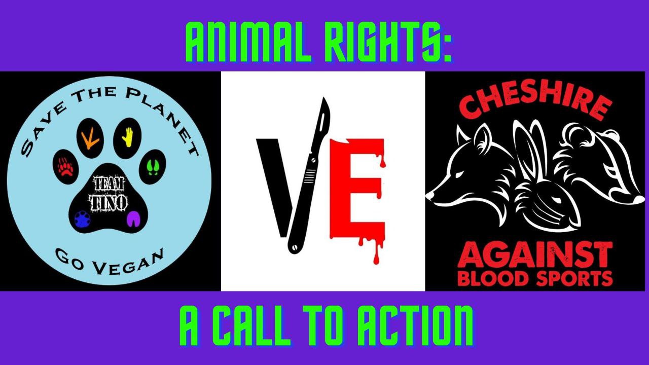 Vivisection Exposed