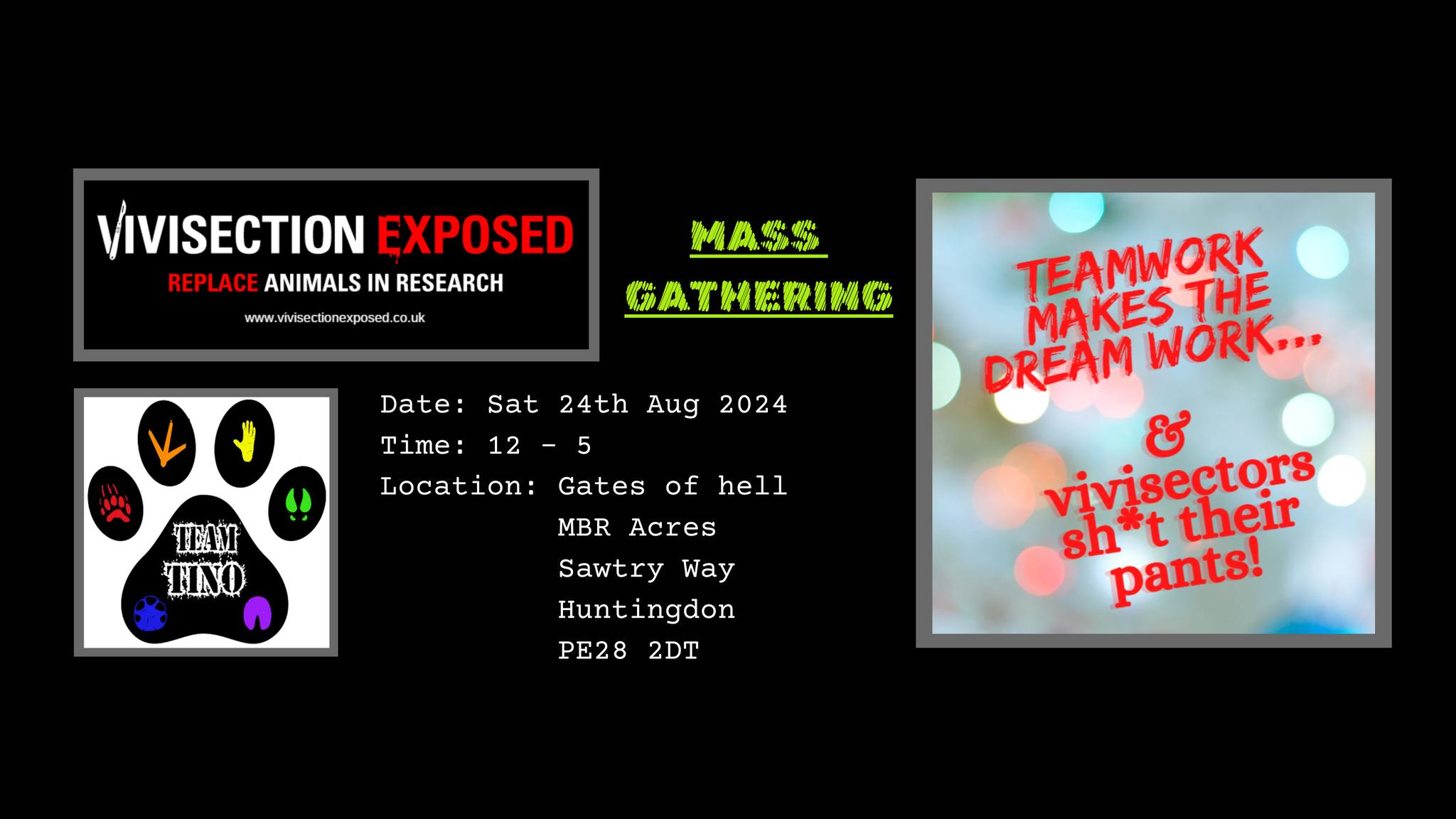 Vivisection Exposed