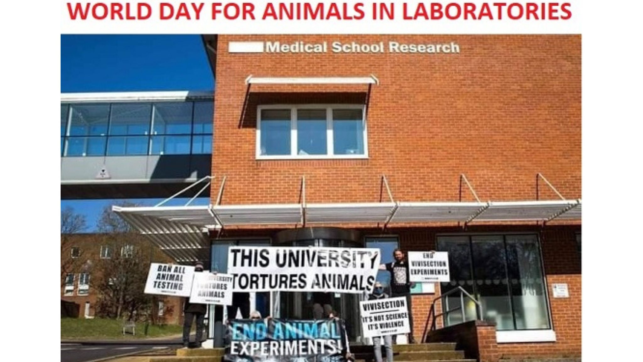 Vivisection Exposed