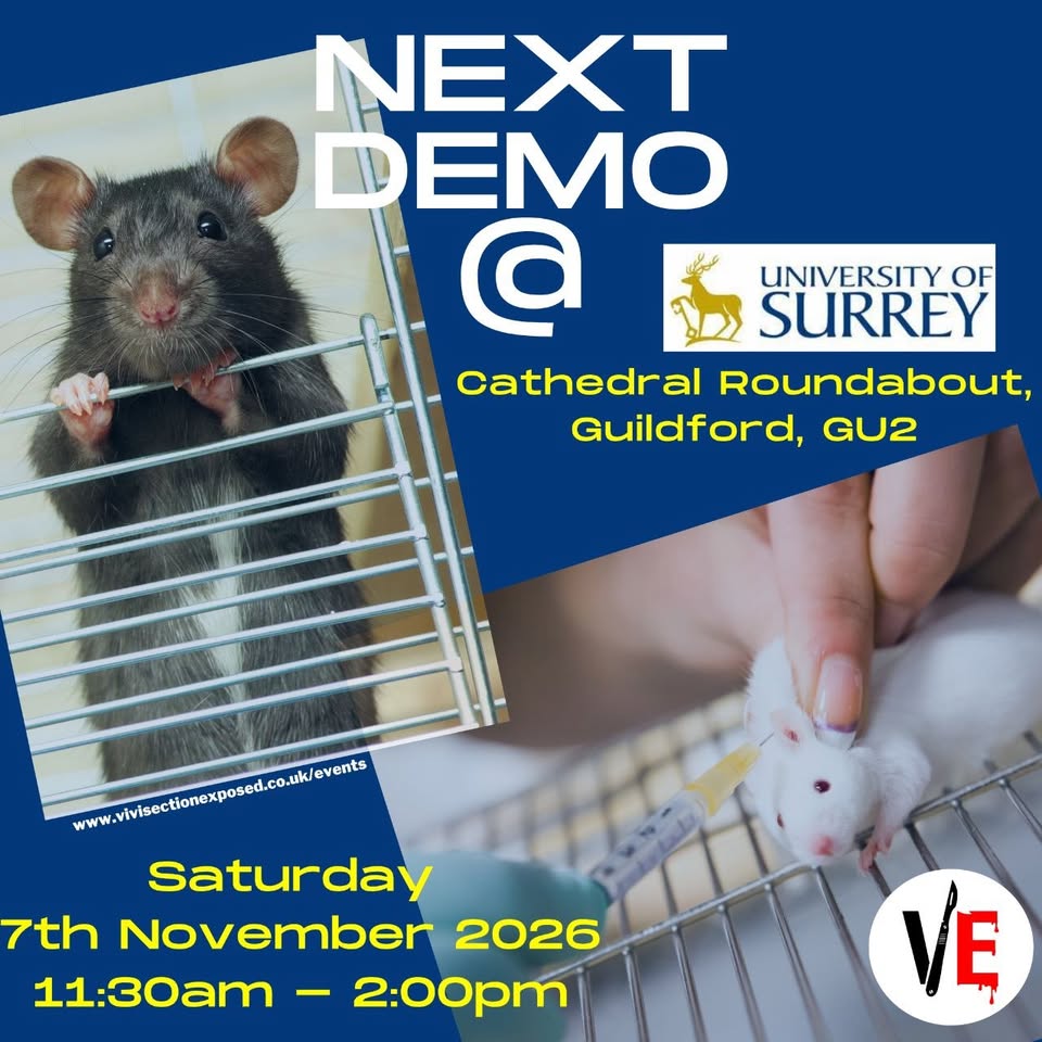 Vivisection Exposed