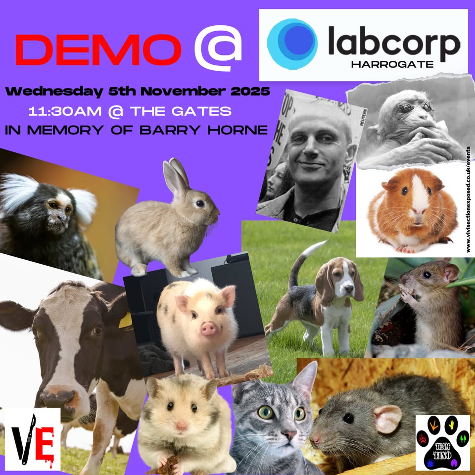 Vivisection Exposed