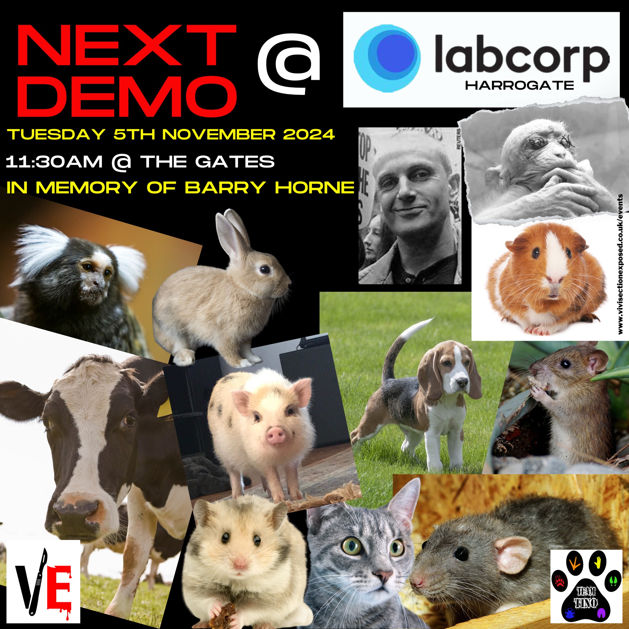 Vivisection Exposed