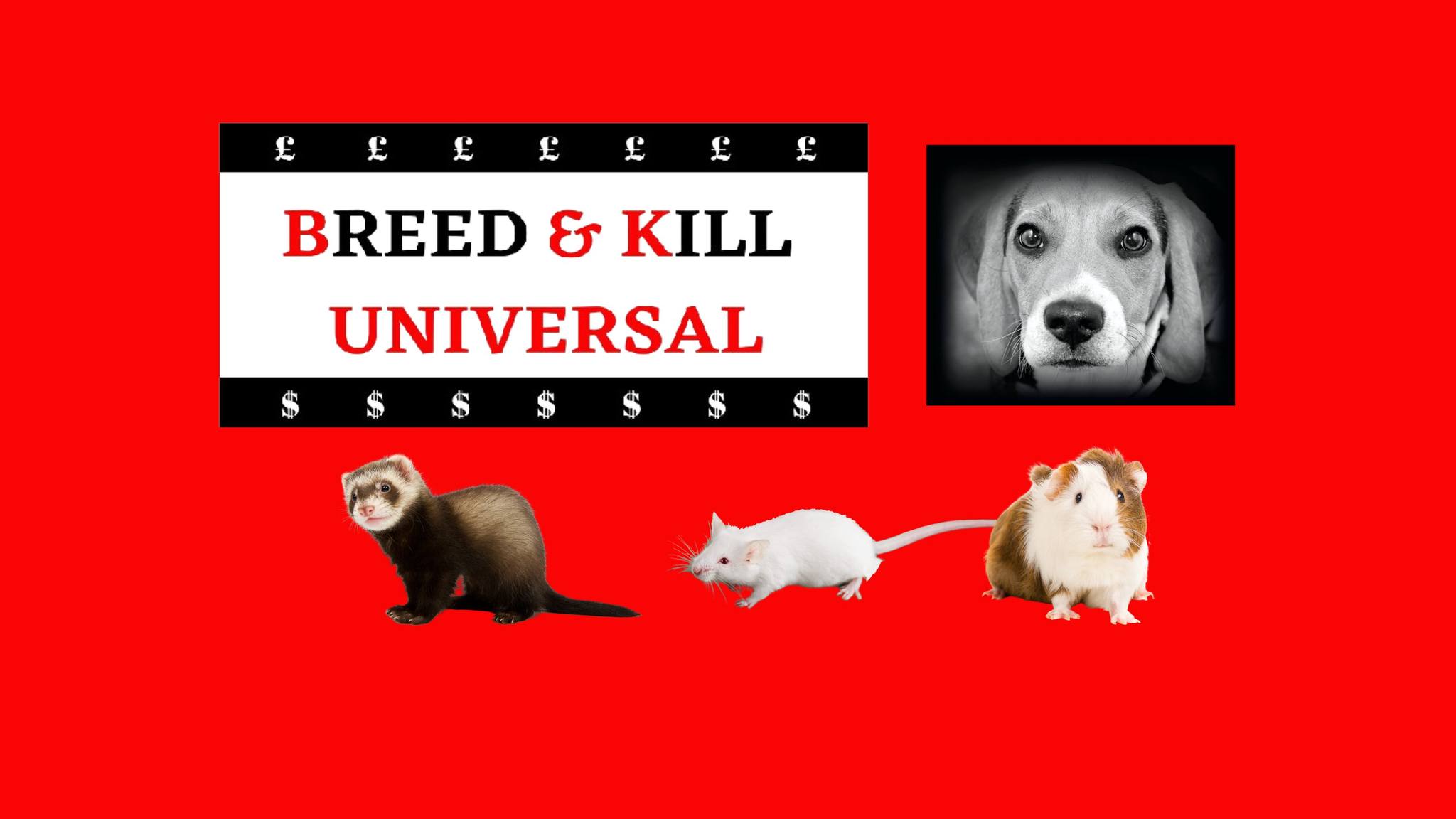Vivisection Exposed