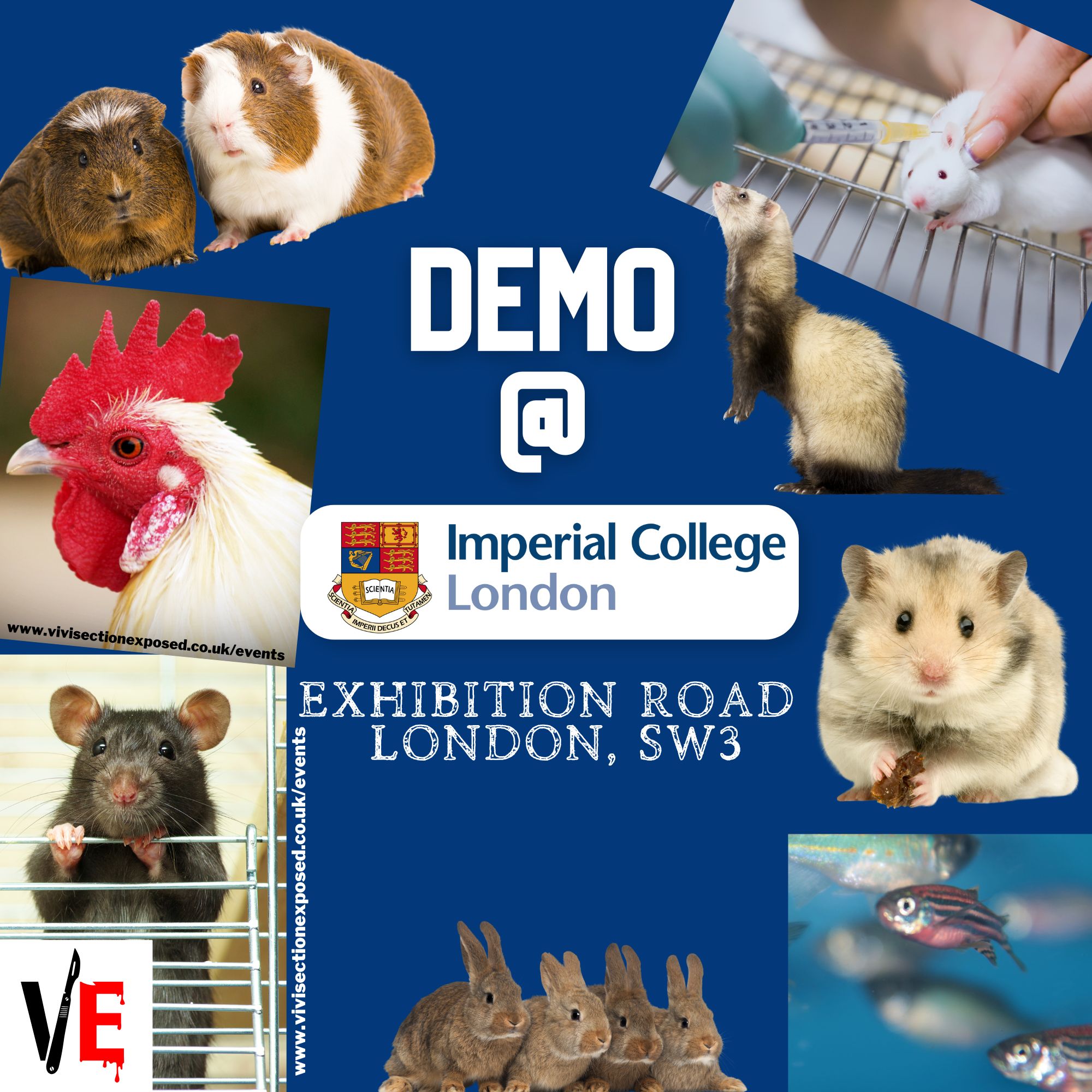 Vivisection Exposed