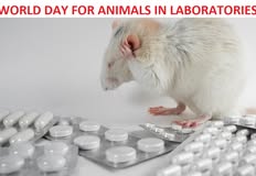 Vivisection Exposed