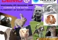 Vivisection Exposed