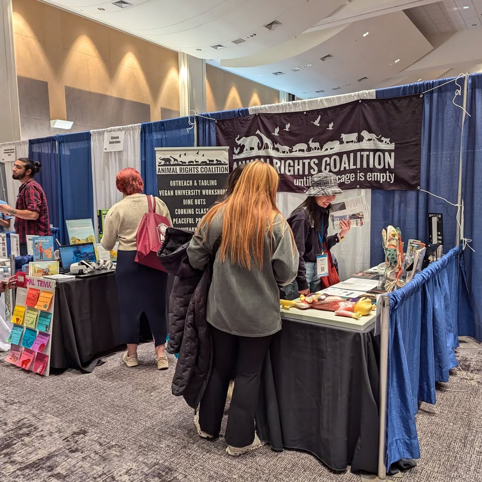 Animal Rights Coalition