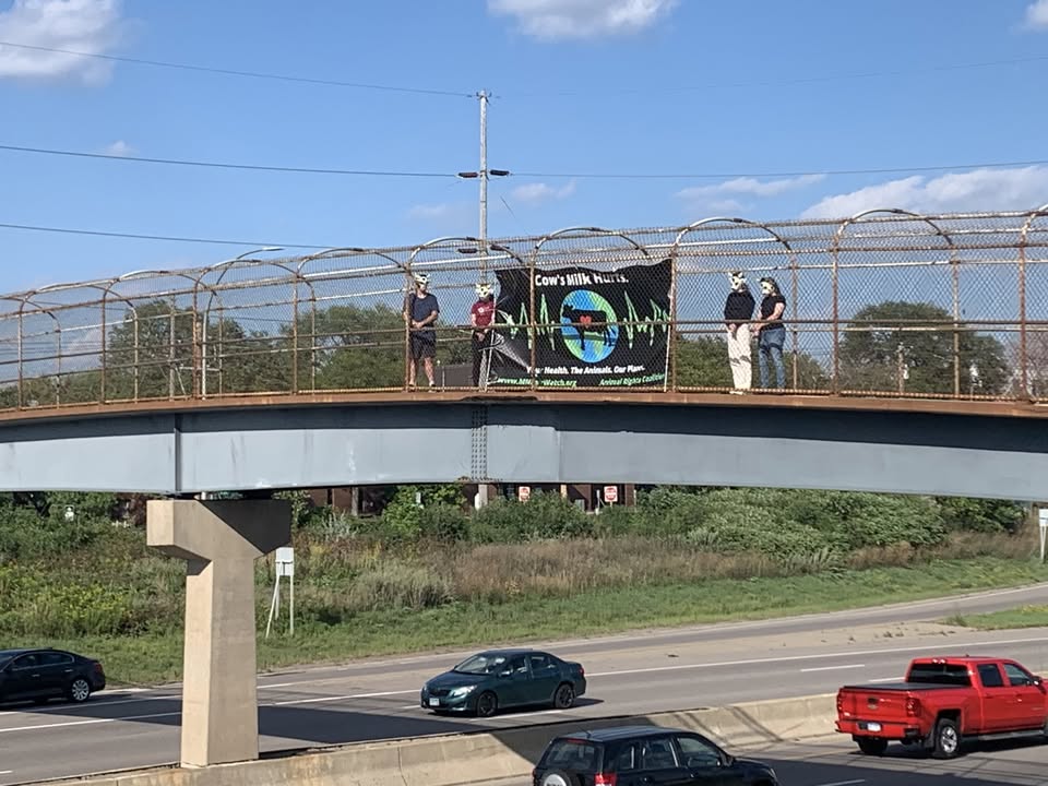 Animal Rights Coalition