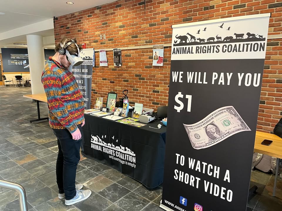 Animal Rights Coalition