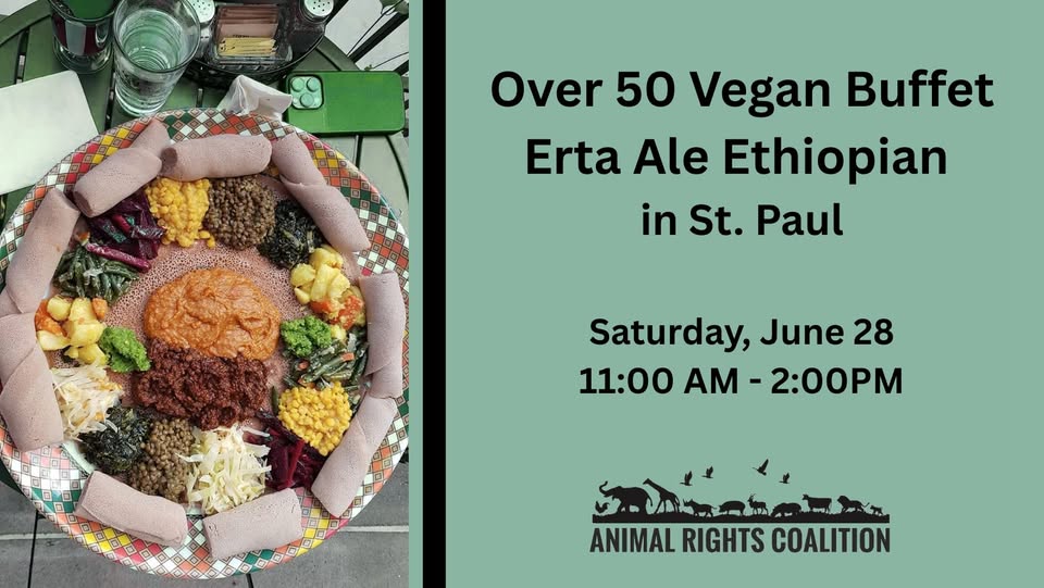 Animal Rights Coalition