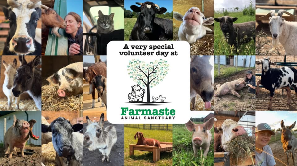 Animal Rights Coalition
