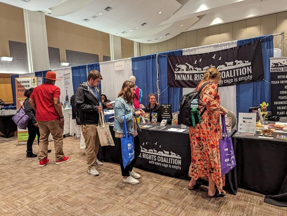 Animal Rights Coalition