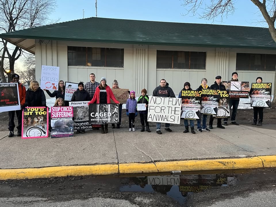 Animal Rights Coalition