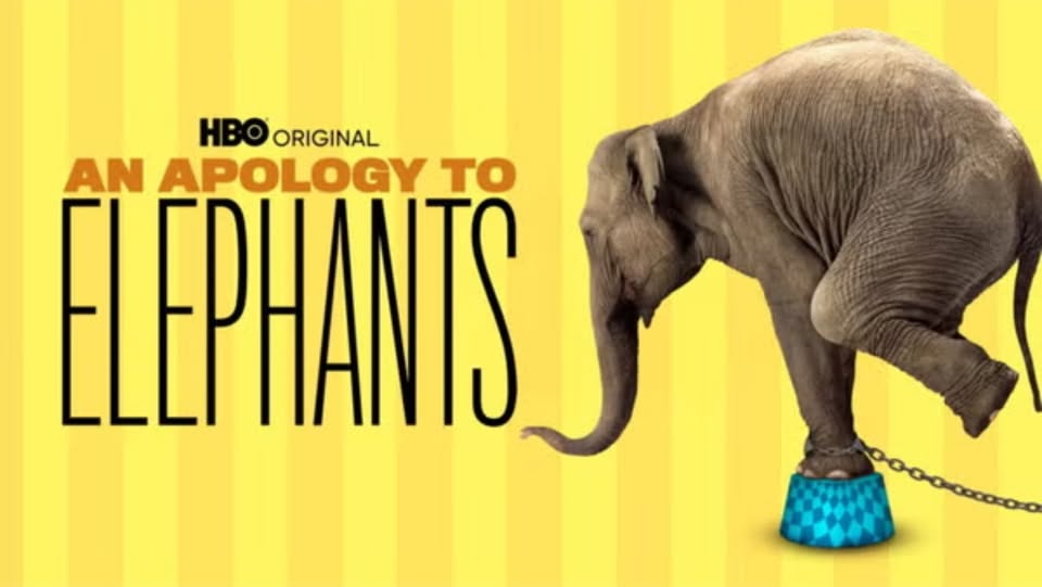 Animal Rights Coalition