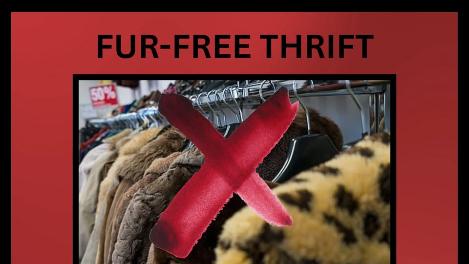 Animal Rights Coalition