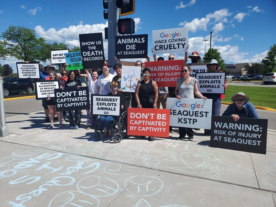Animal Rights Coalition