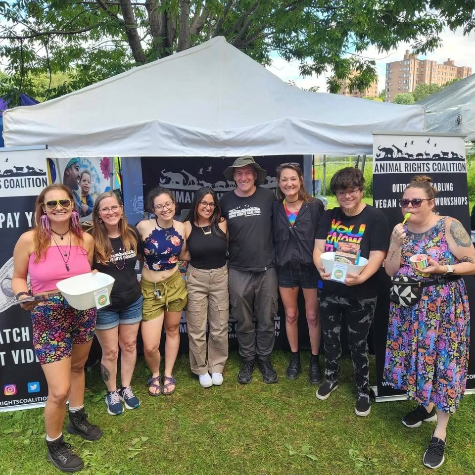 Animal Rights Coalition