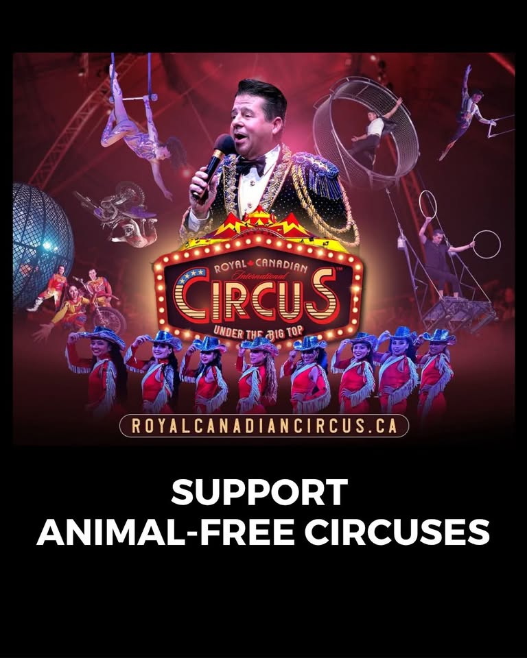 Animal Rights Coalition