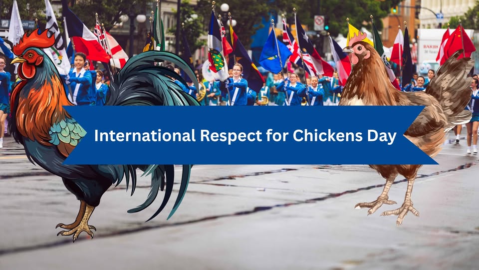 Animal Rights Coalition