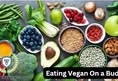 Animal Rights Coalition