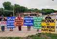 Animal Rights Coalition