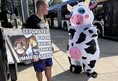Animal Rights Coalition
