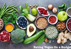 Animal Rights Coalition