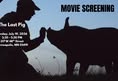 Animal Rights Coalition