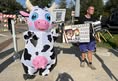 Animal Rights Coalition