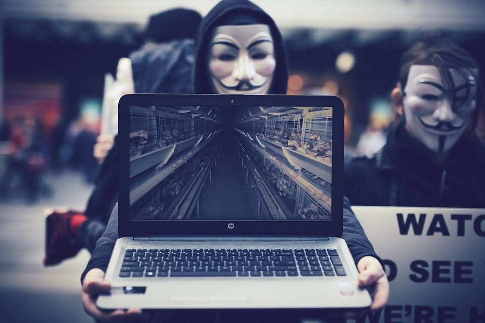 Anonymous for the Voiceless