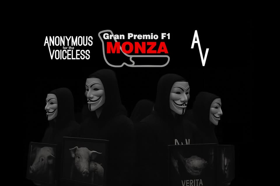 Anonymous for the Voiceless
