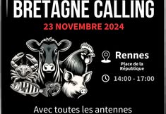 Anonymous for the Voiceless