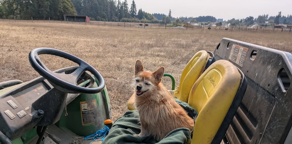 Animal Rights Collective Portland