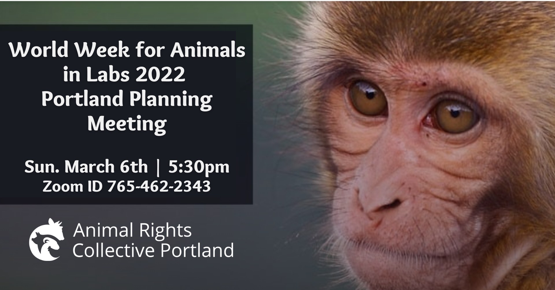 Animal Rights Collective Portland