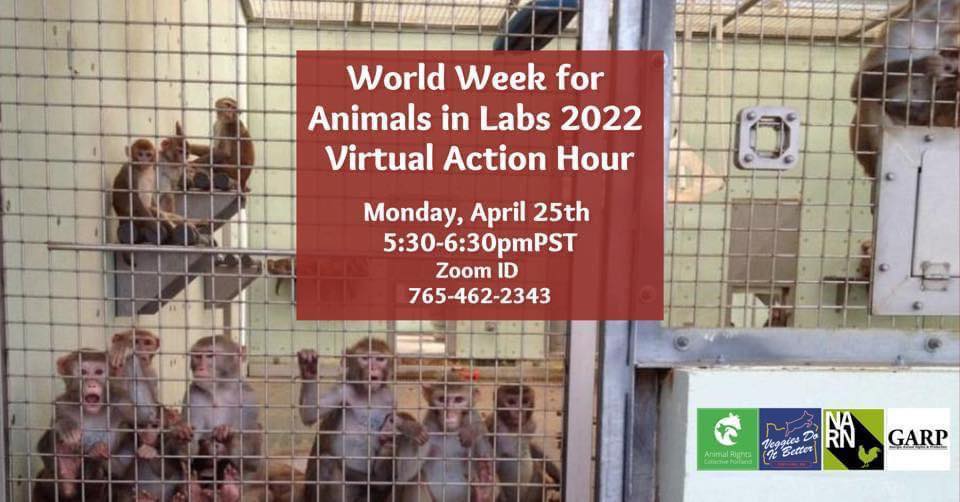 Animal Rights Collective Portland