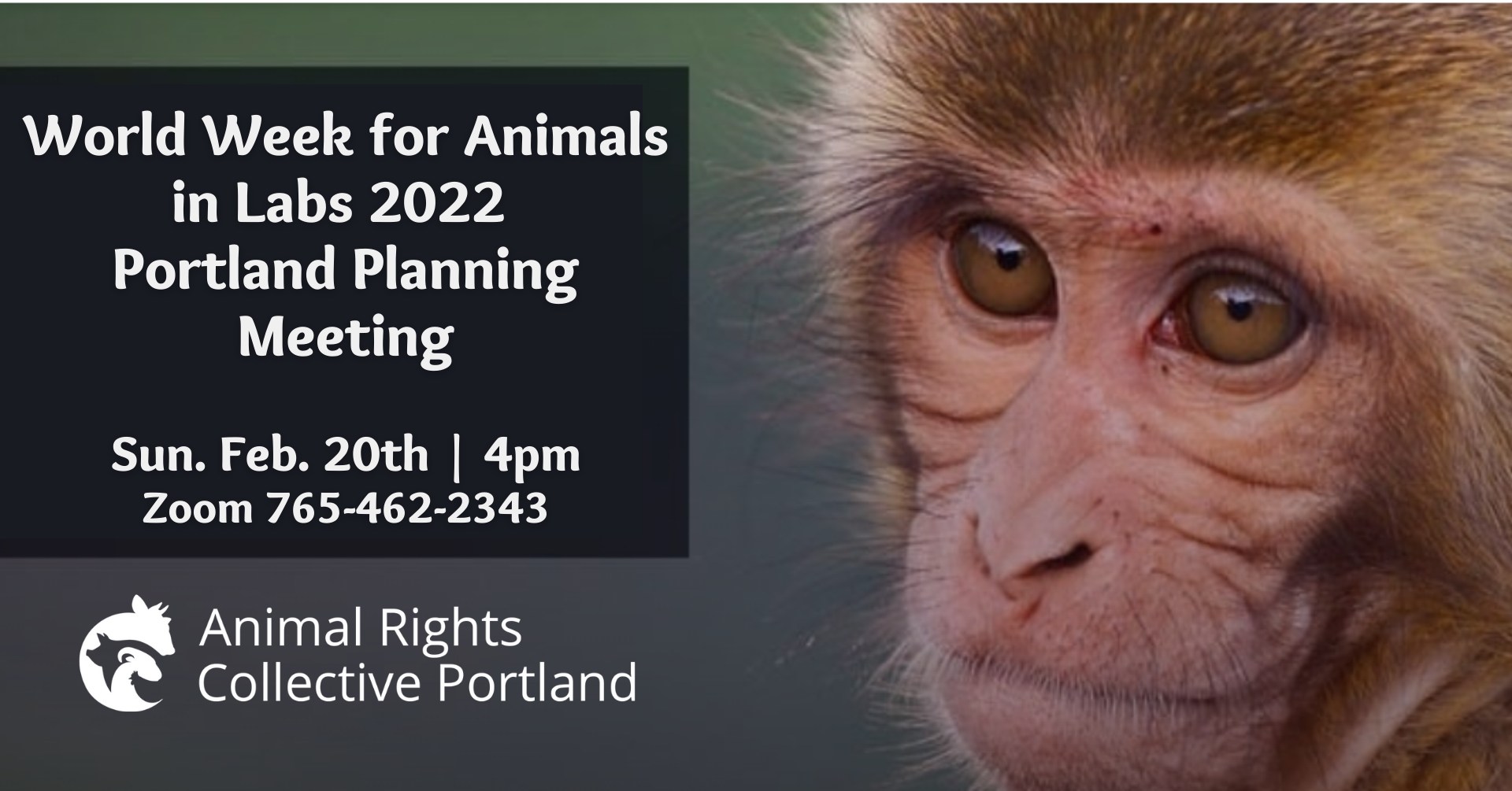 Animal Rights Collective Portland