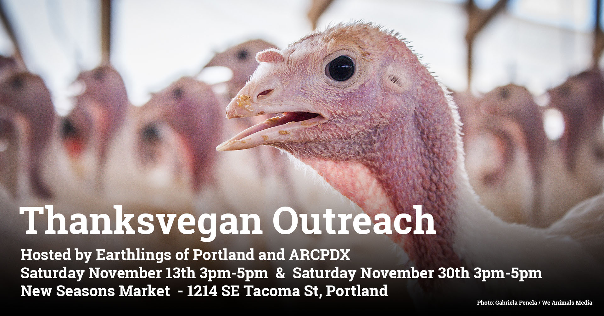 Animal Rights Collective Portland